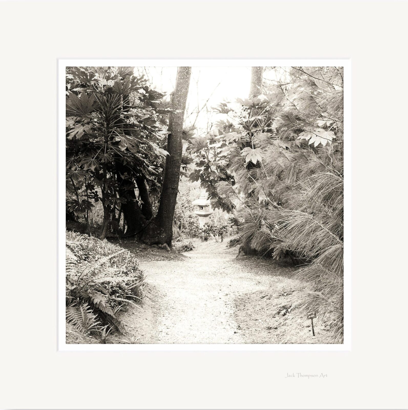 'Lafcadio Hearn Japanese Gardens, Tramore' (#3)