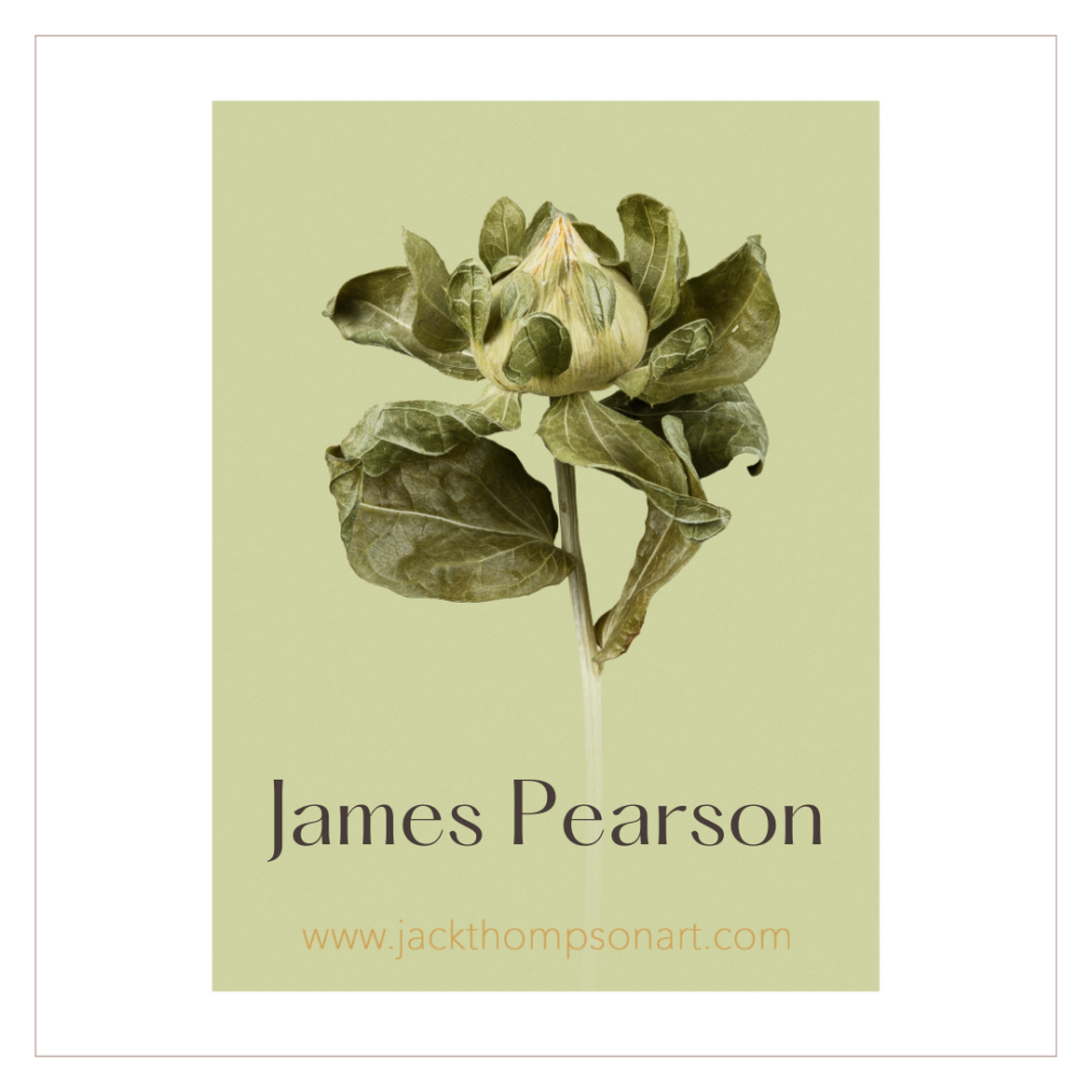 James Pearson Art - Coming Soon