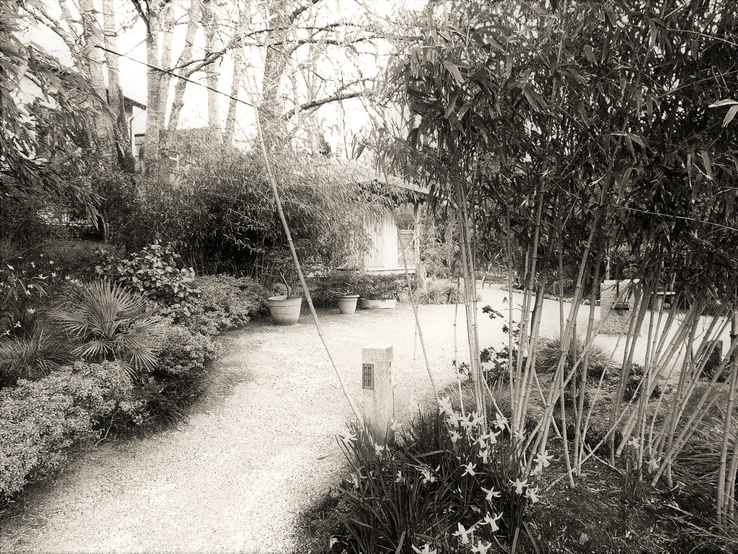'Ochaya' (Ceremonial Tea Room) at Lafcadio Hearn Japanese Gardens